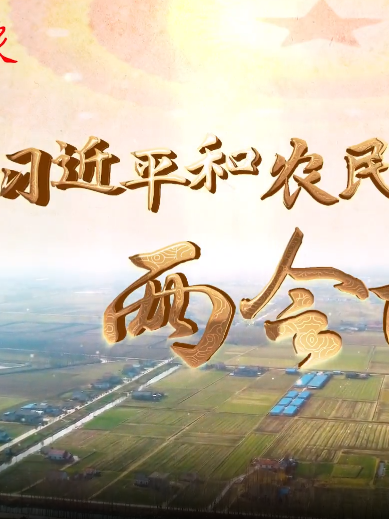 習(xí)近平和農(nóng)民的兩會(huì)故事